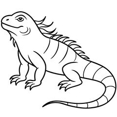  Iguana