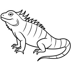 Fototapeta premium Iguana