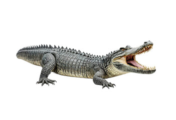 Naklejka premium A toy alligator lies on its side, its head turned to the right, with its mouth open, revealing sharp teeth and a gray body, against a white background