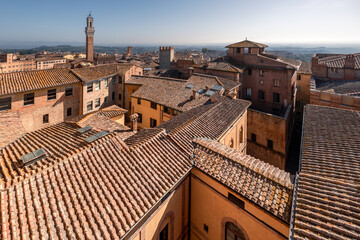 Naklejka premium Aerial cityscape of historical center with tiled roofs, Torre del Mangia medieval tower, Siena, Italy