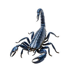 A solitary, blue scorpion with six legs and two claws is centrally positioned against a white background, facing right and appearing to be in motion