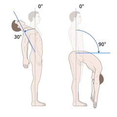 흉요추 관절 정상 운동 범위 일러스트