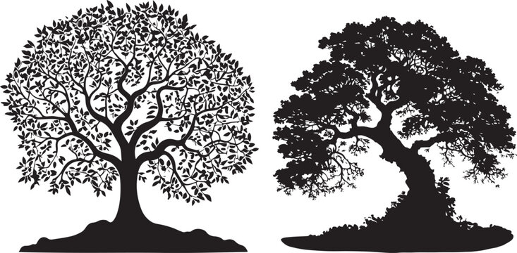 tree silhouette vector black oak tree isolated on white background.tree silhouette vector illustrations.tree sihlouette vector art design.Printable tree graphic design file 09