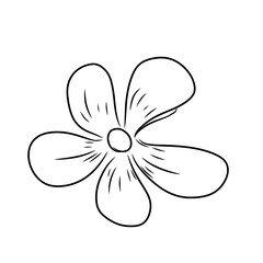 black line flower illustration decoration