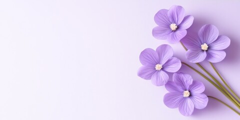 A beautiful arrangement of delicate purple flowers on a soft pastel background.