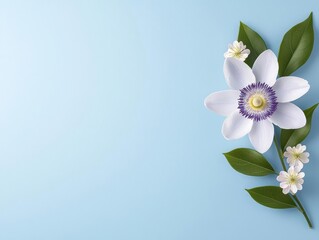 Fototapeta premium Beautiful white flower with leaves on a soft blue background, perfect for nature-themed designs.