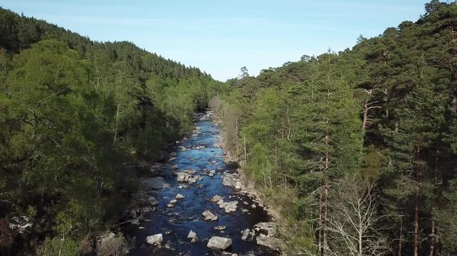 Ascending drone footage of River Affric flowing through a pine forest in Glen Affric in Scotland, UK