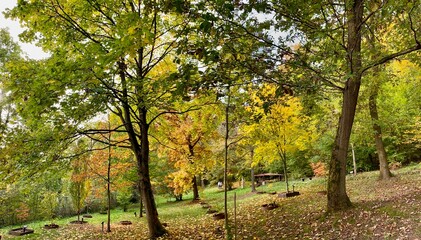 Aceretum - Ahornpark inIlfeld im Goldenen Oktober, Indian Summer