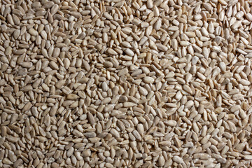 Peeled Sunflower Seeds Background: A Culinary Canvas of Shell-free Sunflower Seeds, Creating a Lively and Textured Background for Gourmet Cooking - Top View, Flat Lay
