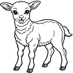 Lamb