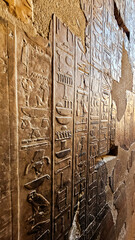 hieroglify. Egipt, faraon