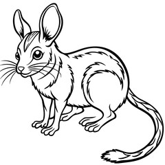  Jerboa