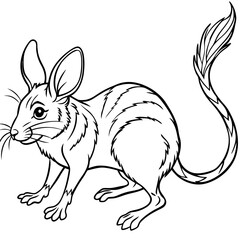  Jerboa