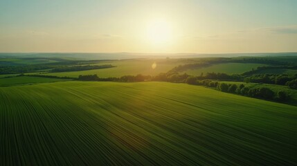 Lush green farm fields stretch out under a bright sun.  This aerial view shows the beauty of the Ukrainian countryside, a heartland of agriculture in Europe.