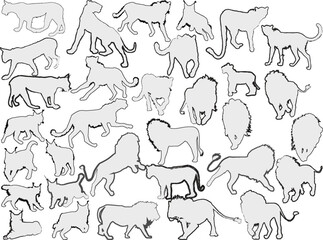 large set of predator animals outlines isolated on white
