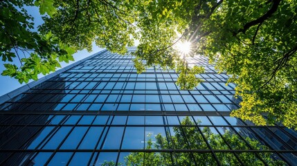 A contemporary office building with reflective glass windows and lush green trees surrounding it, basking in sunlight 