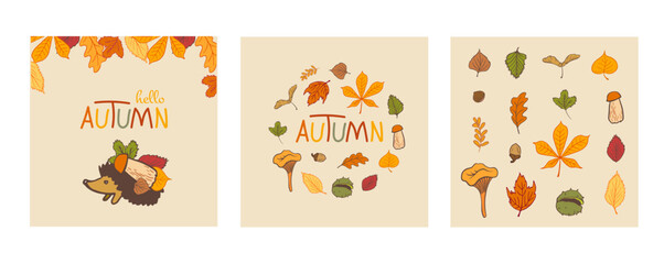 Fototapeta premium square autumn cards with hedgehog, leaves and mushrooms with the inscription 