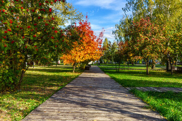 Park near the Spassky Cathedral in Yelabuga in autumn, Tatarstan. Sunny warm day. Yellowed leaves on a rowan tree. Wooden sidewalks. Green trimmed lawns