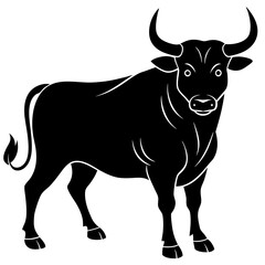 black and white bull