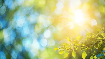 Fototapeta premium Sunlight shining through green leaves with bokeh effect in the background. Concept of nature, summer, and freshness.