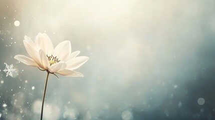 Snowflake Blossom Transition, delicate transformation from winter to spring, vintage hues, gentle softness, nature's cycle of change