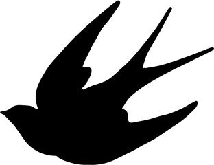 silhouette of a bird