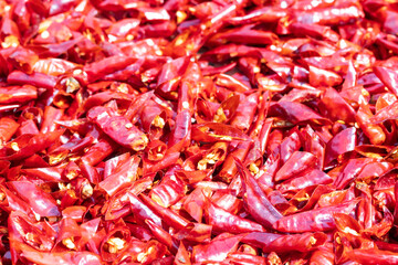 Dry chilli peppers,spicy seasoning,lot of dried chili as a food background.