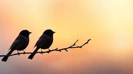 Two birds perched on a branch against a colorful sunset background, creating a serene and picturesque scene.