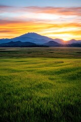 Fototapeta premium Vibrant sunset over a green field with distant mountains in the background.
