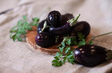 Raw fresh striped eggplants, dark background, rustic style, selective focus, low key