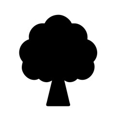 A perennial plant with a trunk