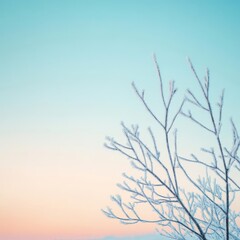 Obraz premium Frost-covered branches silhouetted against a pastel winter sky