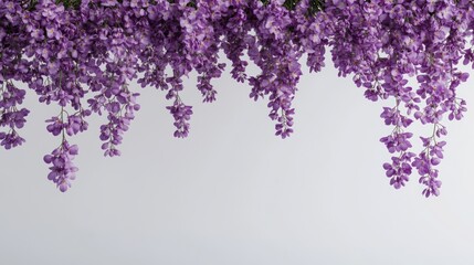 Obraz premium A cascade of purple flowers against a light background, creating a serene and calming atmosphere.