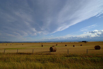 hay bales in the field,  mountains, Canadian Rockies,  Alberta, Nature, Fall