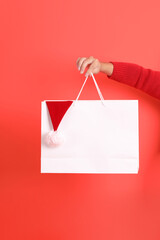 Hand Holding shopping bag