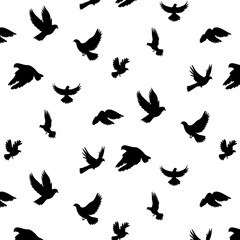 birds dove circling seamless pattern background