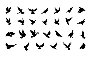 Pigeon dove birds hold leaf and fly branch silhouettes vector illustration