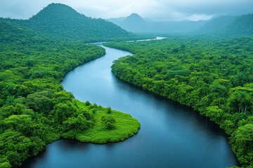 Aerial View of the Amazon Rainforest with Winding River – High-Resolution Award-Winning Fine Art Photograph  
