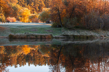 Autumn morning landscape with a view of the lake shore and the reflections of trees in water