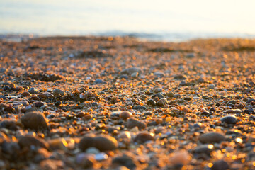 rocks on the beach