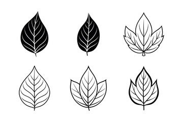 Set of leaf icons silhouette. Vector art illustration. Isolated on White Background.
