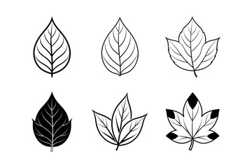 Set of leaf icons silhouette. Vector art illustration. Isolated on White Background.