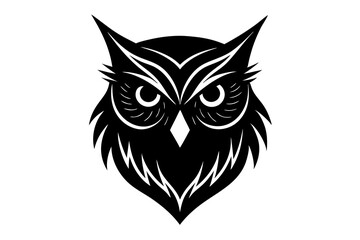 owl on white