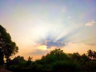 The evening beautiful sunset sky at the forest