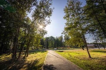 A park with a path and trees