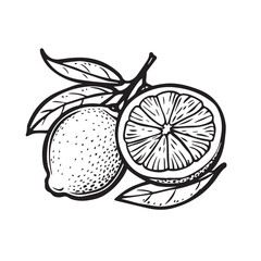 Lemons In cartoon, hand-drawn flat style. image for social media, websites and UI. Isolated 2D vector design in logo, icon, sketch style, simple line vector, single color. AI Generative Art.