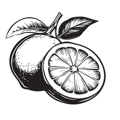 Lemons In cartoon, hand-drawn flat style. image for social media, websites and UI. Isolated 2D vector design in logo, icon, sketch style, simple line vector, single color. AI Generative Art.