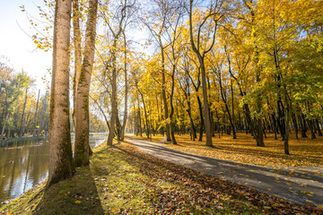 Obraz premium A path in a park with trees and a body of water