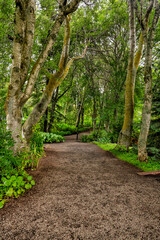 Akureyri, Iceland - August 9, 2024: Landscapes in the botanical gardens of Akureyri, Iceland
