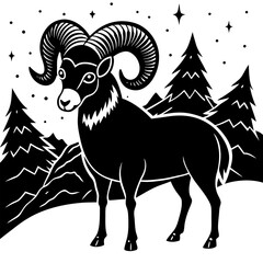 black and white sheep